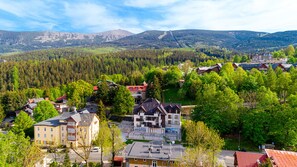 Un quartier résidentiel où les maisons sont entourées d’une forêt dense et où l’on aperçoit des montagnes au loin.