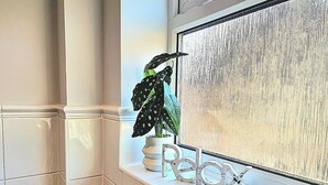 Een badkamer met een raam, een potplant en een decoratief bord.