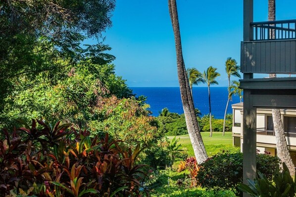 Condo, 2 Bedrooms | Property grounds - Wailea Ekolu 1603 2 Bedroom Condo (Kihei)
