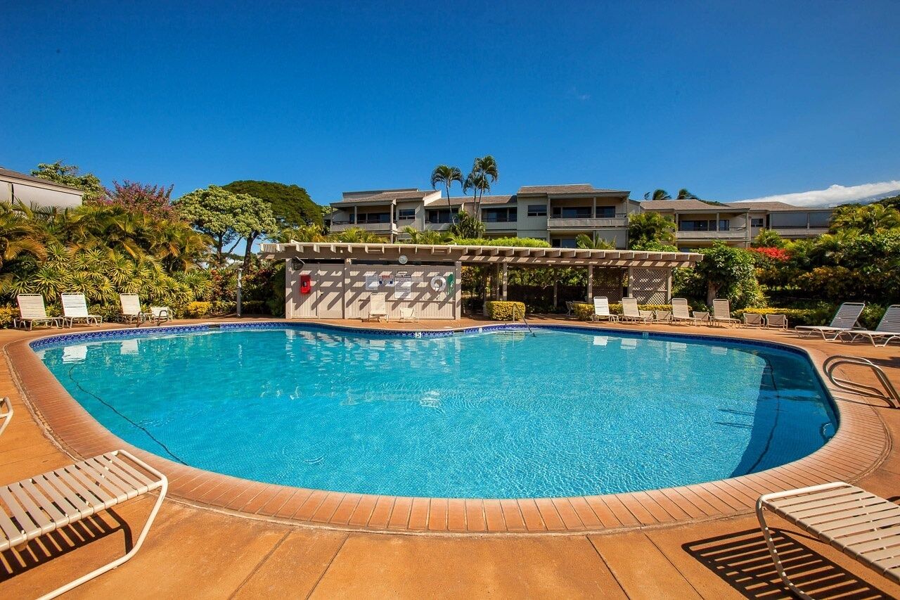 A swimming pool with lounge chairs and a covered area, surrounded by buildings and greenery.
