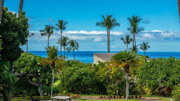 A tropical resort with palm trees, a beach view, and a picnic area. - Wailea Ekolu 1603 2 Bedroom Condo (Kihei)