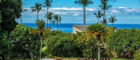 Condo, 2 habitaciones | Restaurante al aire libre