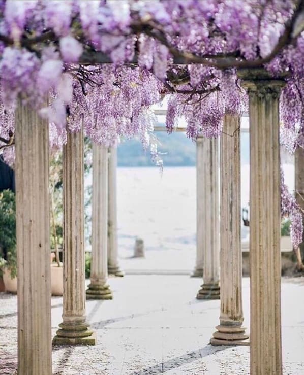 Outdoor wedding area