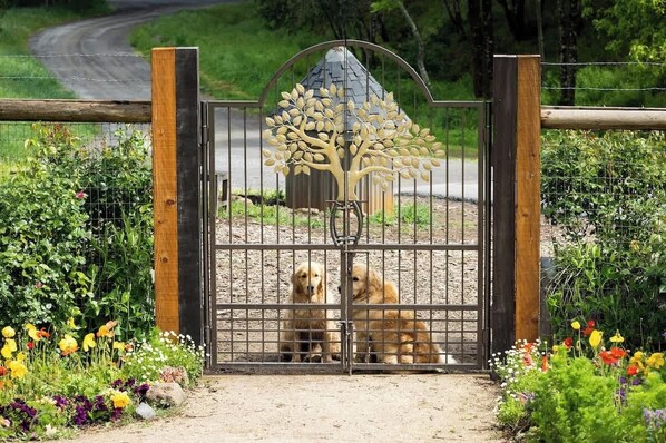 Property grounds - Modern Luxury Barn in an Organic Farm Garden OMG! (Healdsburg)
