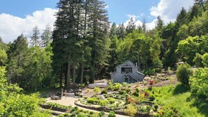 A house surrounded by a garden with a winding path, a large tree, and a clear sky. - The Barn Villa (Healdsburg)