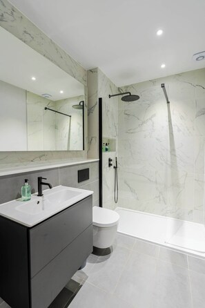 Shower, hair dryer, towels