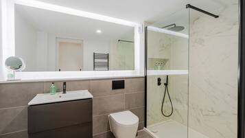 Shower, hair dryer, towels