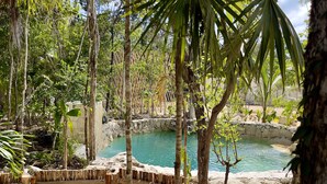 Una piscina natural envoltada d'arbres i una tanca de fusta.