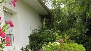 A garden with various flowers and shrubs in front of a white building. - Villa des Doudoux (Andernos-les-Bains)