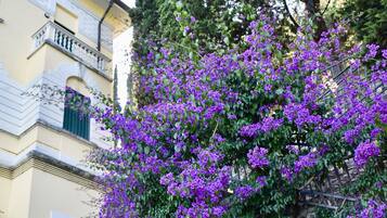 Overnatningsstedets område