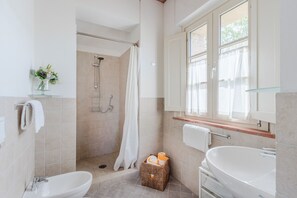 Shower, hair dryer, towels