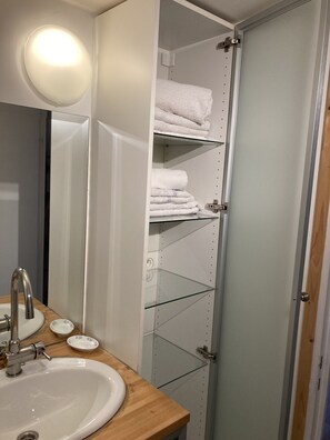 Shower, hair dryer, towels - ST1 beautiful 2-room apartment in the heart of Queyras (Abriès-Ristolas)