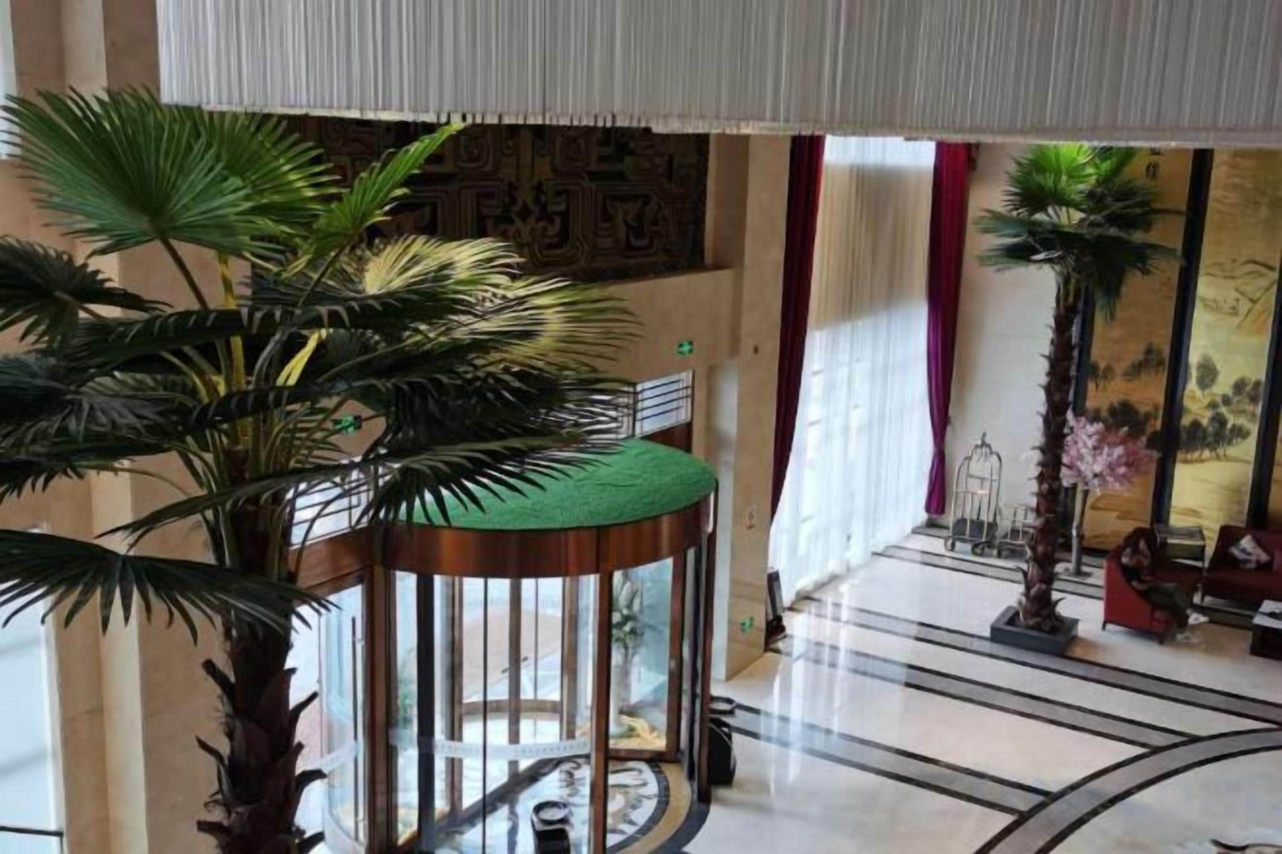 Un vestíbulo con una palmera, una mesa redonda con cubierta verde y un piso con diseño.