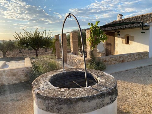Rural house among olive trees