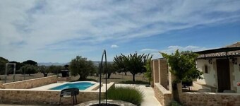 Rural house among olive trees