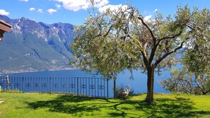 Property grounds - Casa Elka Patio 5 Lake view (Tremosine)