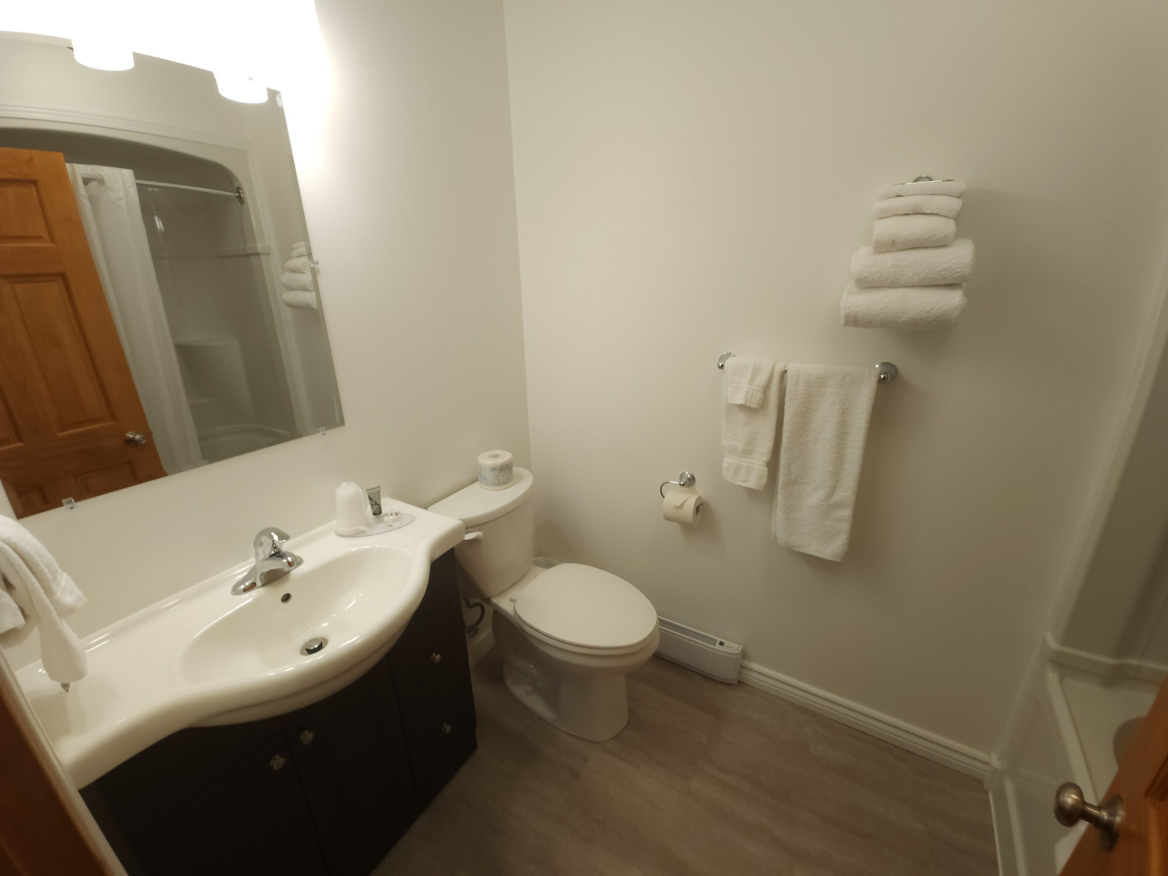 Hair dryer, towels, soap, shampoo