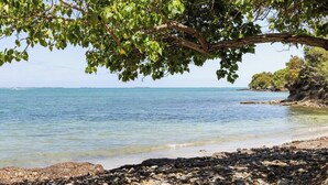 Ein felsiger Strand mit klarem Wasser, ein Baum spendet Schatten, und eine ferne, felsige Küste.