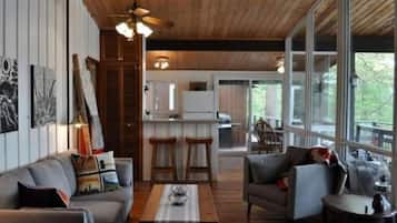 Smart TV, fireplace, books