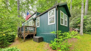 A green cabin with a wooden deck and an American flag, surrounded by dense forest.