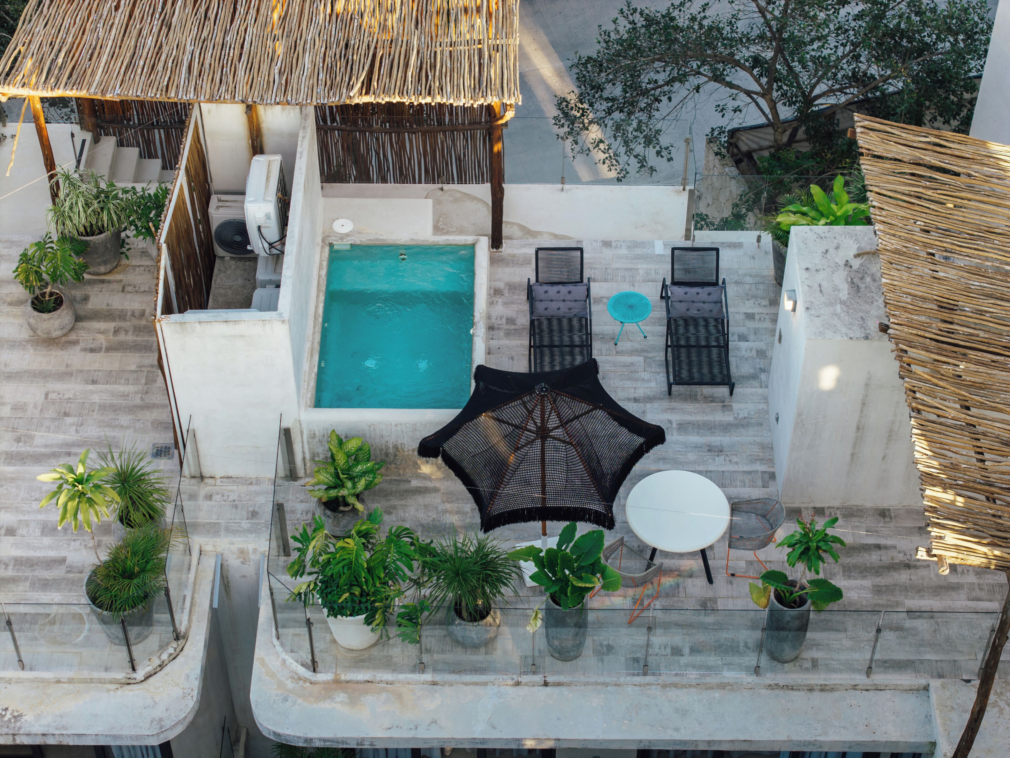 A rooftop pool area with a thatched roof, lounge chairs, and potted plants.