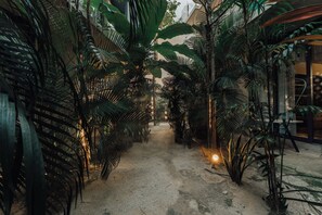 A narrow pathway flanked by dense tropical foliage, leading to a building entrance.