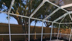 A swimming pool with a curved design, surrounded by a wooden fence and palm trees. - Newly Renovated Family Vacation Rental with Pool & Spa (Bradenton)