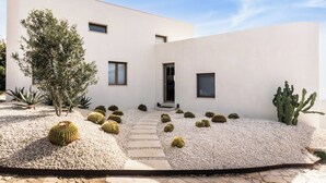 A modern building with a white exterior, a cactus garden, and a stone pathway.