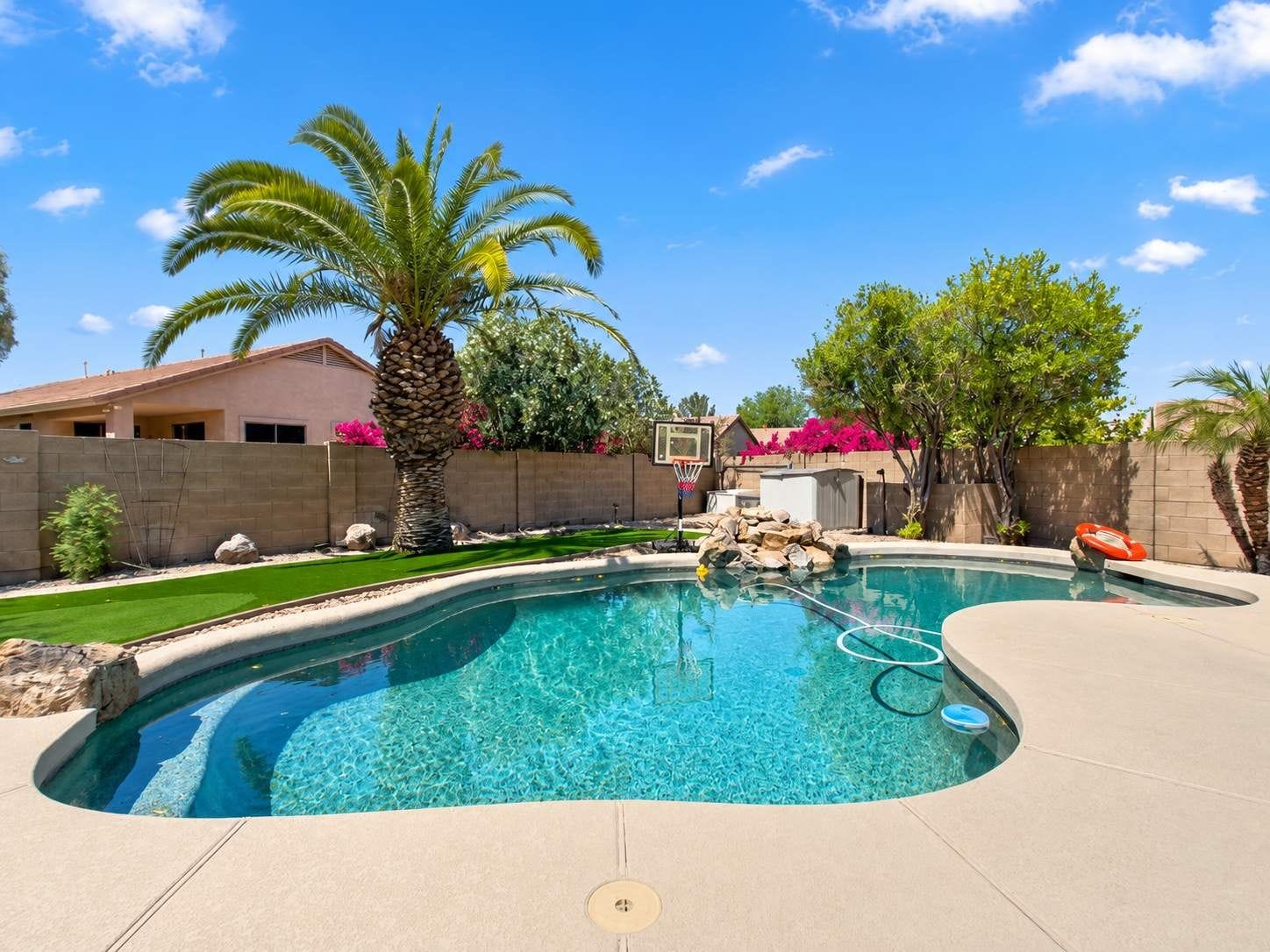 A swimming pool with a curved edge, surrounded by a concrete deck, palm trees, and a basketball hoop.