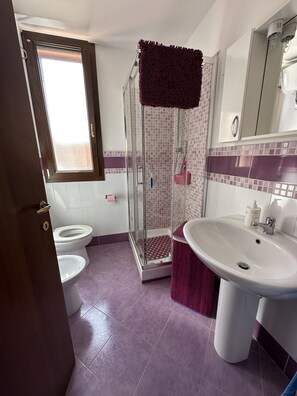 Shower, hair dryer, bidet, towels