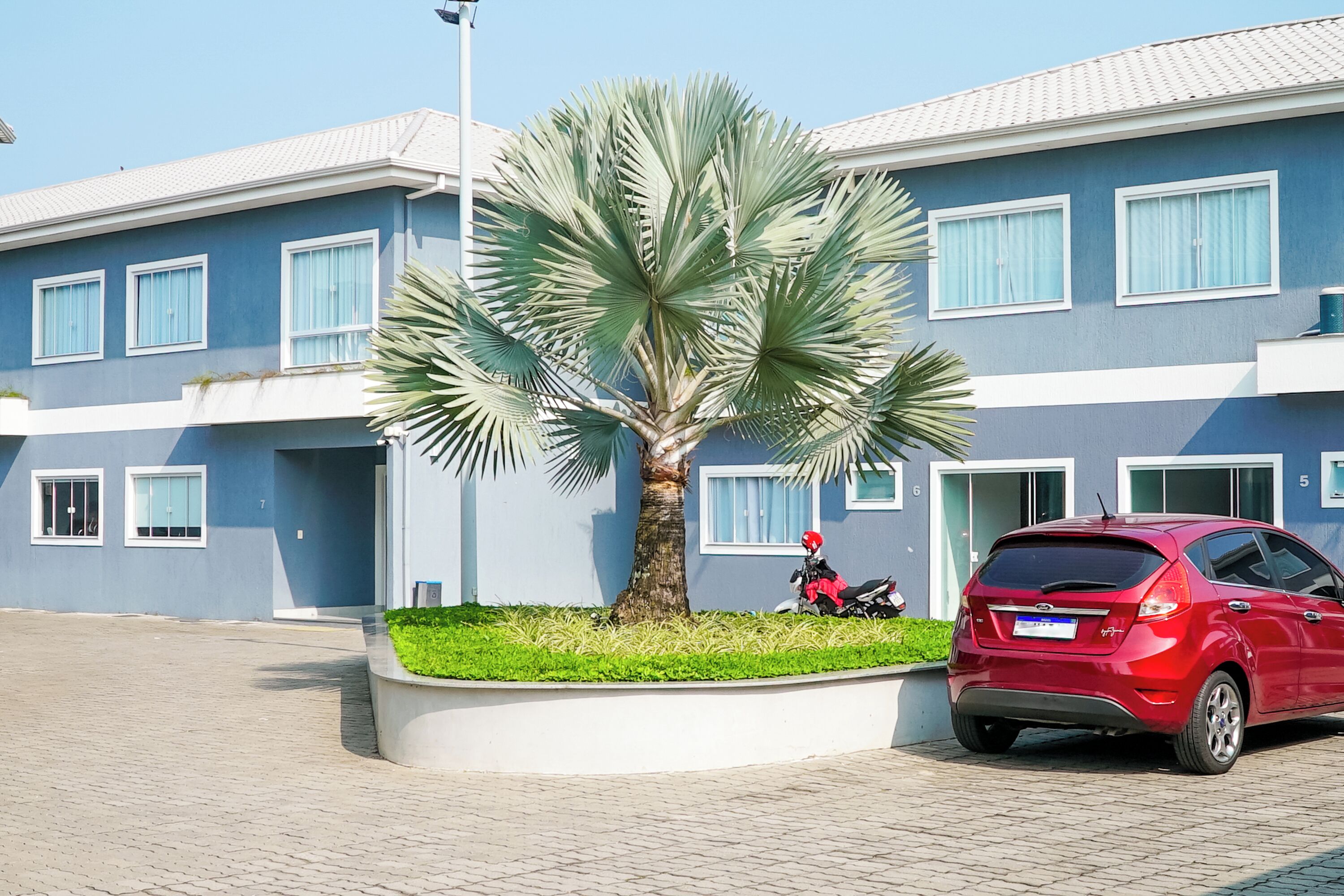A modern building with a blue facade, a palm tree in the center, and a red car parked in front.