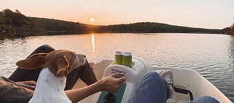 Chic Treehouse Cabin with Pedal Boat, Hot Tub, BBQ, Fire Pit, SUPs, & Lake Access