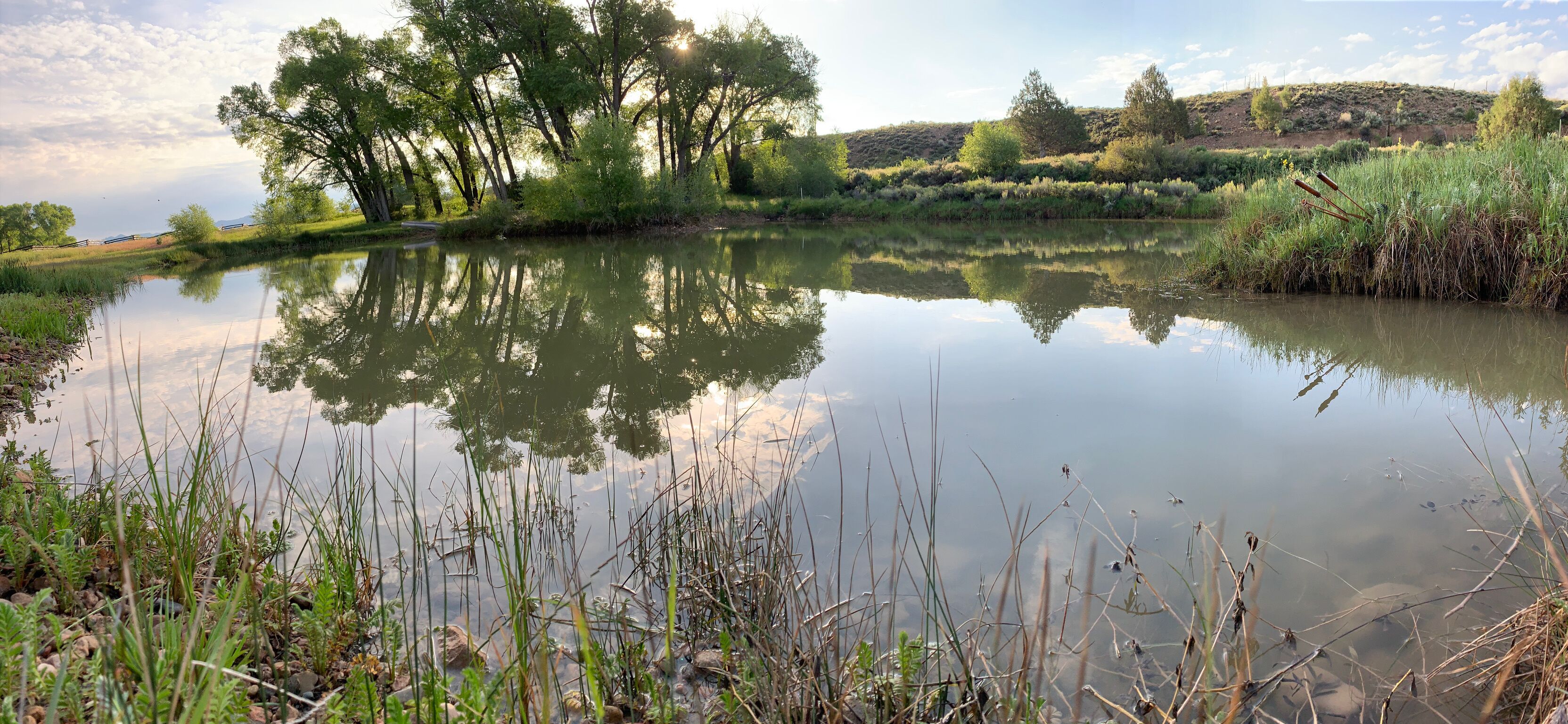 Un lac paisible où se reflètent les arbres et où le ciel est dégagé.