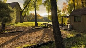 Un rustico chalet con tavolo da picnic e portico, immerso tra alberi e un prato erboso.