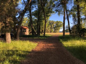 المنطقة المحيطة بالمنشأة