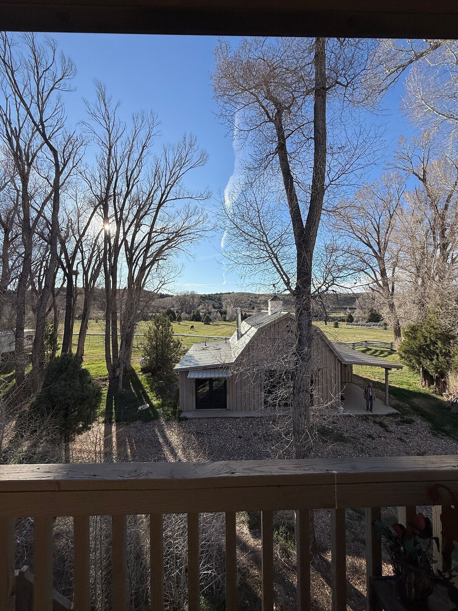Une cabane en bois dotée d’un porche abrité, entourée d’arbres et sous un ciel dégagé.