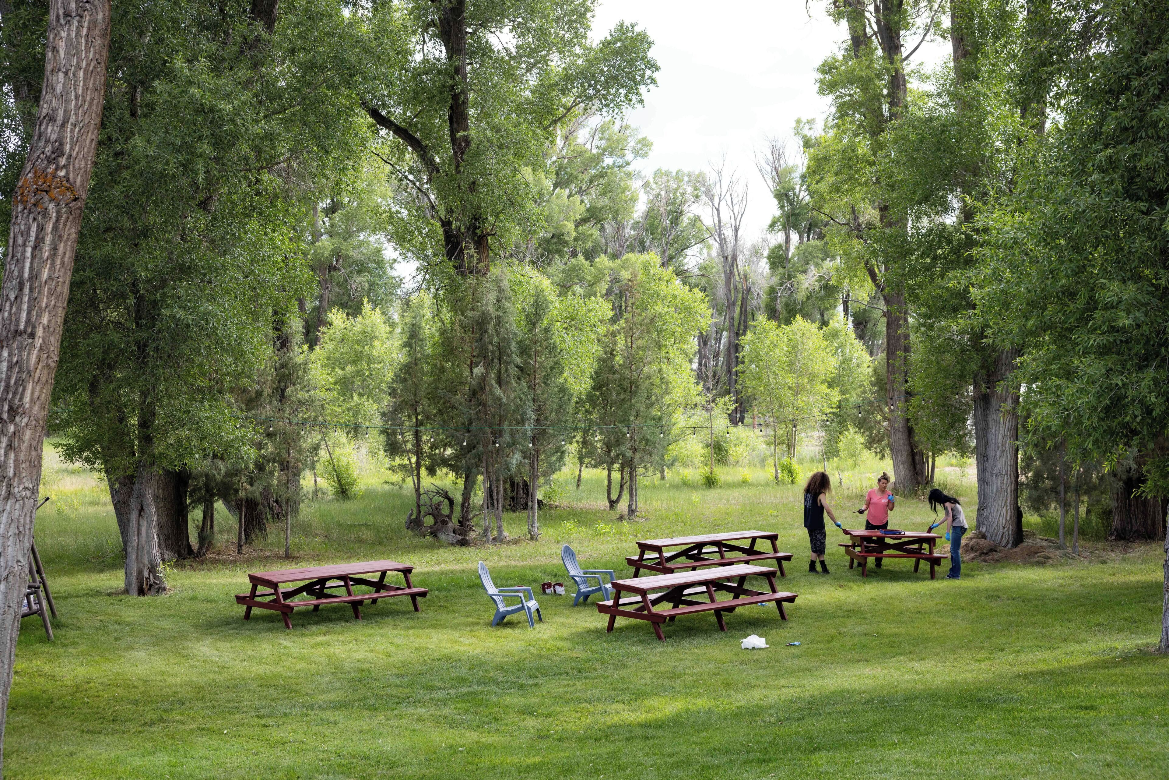 Restauration en plein air