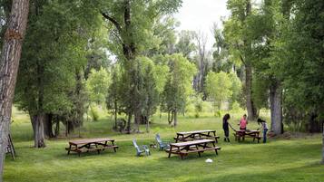 Restauration en plein air