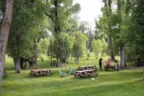 A picnic area with benches and chairs, surrounded by trees. - Cowboy Loft at Azevedo Ranch - Peaceful Stay Near Bryce with Lake (Panguitch)