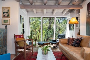 Smart TV, fireplace, books