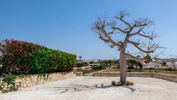 A tree in a landscaped area with a stone wall and gravel ground.