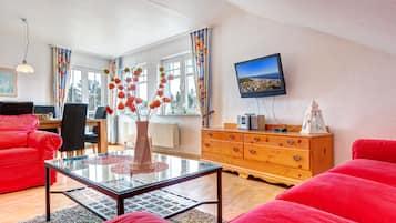 TV, DVD player, table tennis, stereo