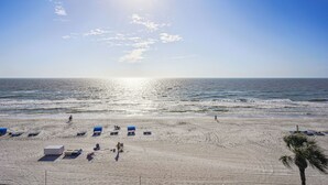 Ein Strand mit Liegestühlen und Sonnenschirmen, einer Palme und dem Meer im Hintergrund.