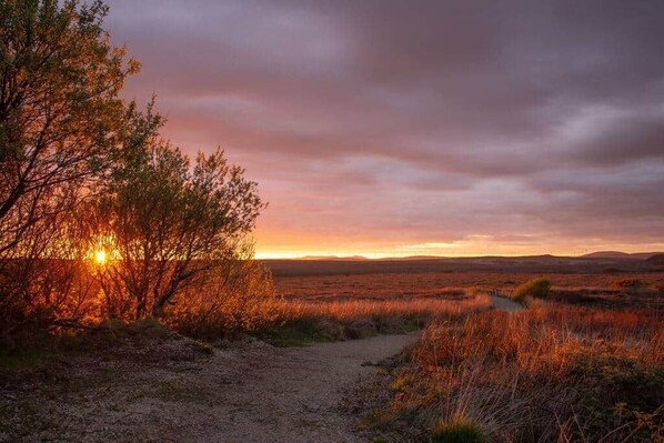 Paisaje natural con un sendero de tierra que atraviesa un campo de hierba y arbustos, con un árbol a la izquierda y una puesta de sol al fondo.