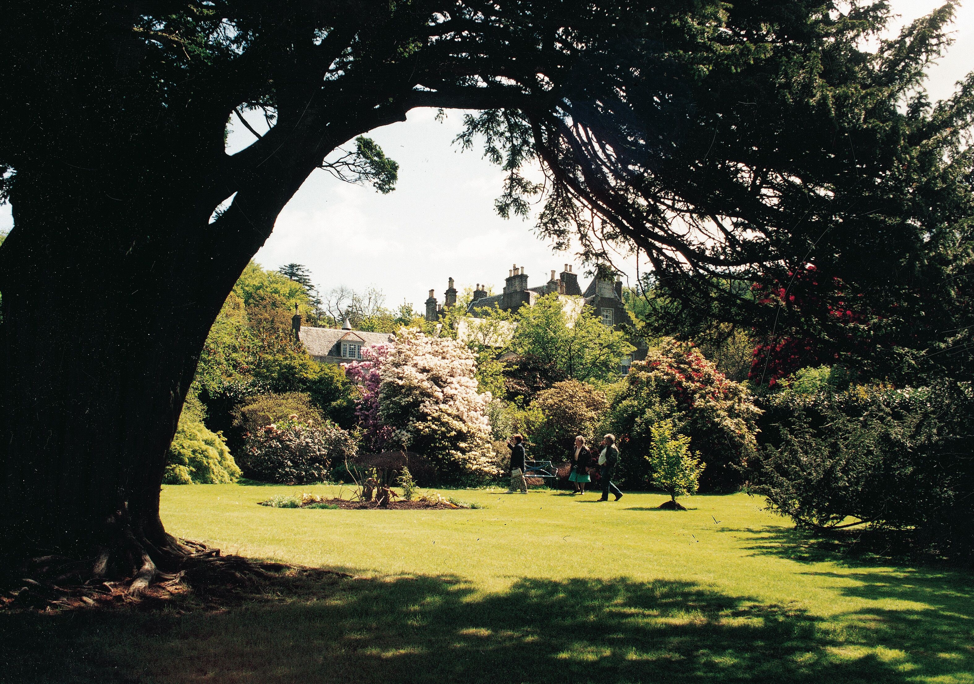 Cabaña, varias camas | Áreas de la propiedad