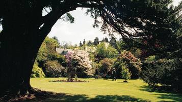 Cabin, Multiple Beds | Property grounds