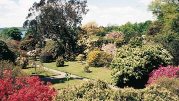 Cabin, Multiple Beds | Property grounds