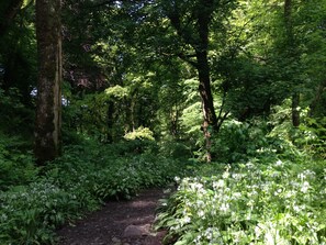 Cabin, 1 Queen Bed | Property grounds - Stunning Premium Yurt in Kelburn Estate Near Largs (Largs)