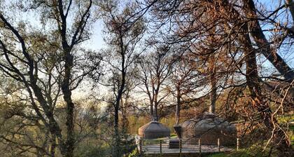 Stunning Premium Yurt in Kelburn Estate Near Largs