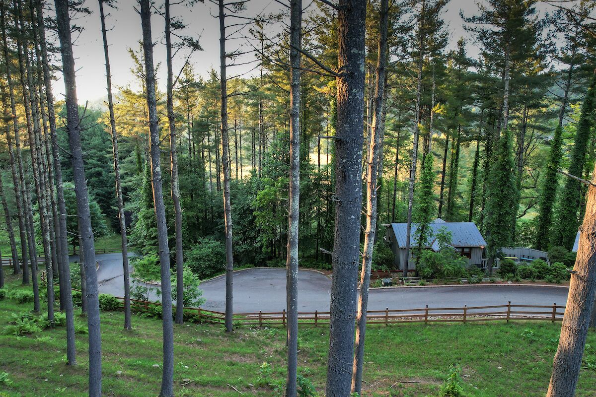 A forested area with a paved road and a building with a metal roof.